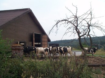 Bilder vom Hof (2001)