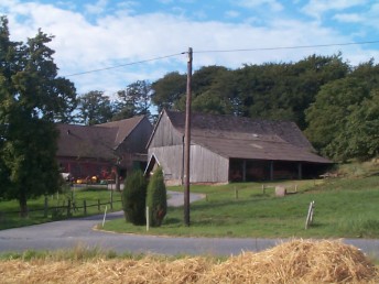 Bilder vom Hof (2001)